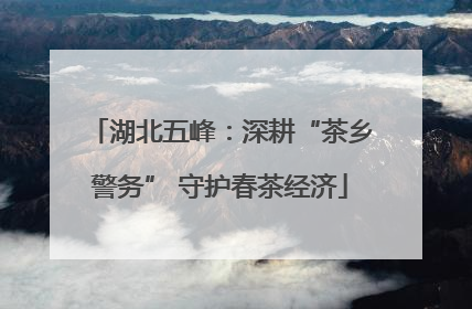 湖北五峰：深耕“茶乡警务” 守护春茶经济