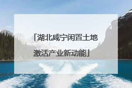 湖北咸宁闲置土地激活产业新动能
