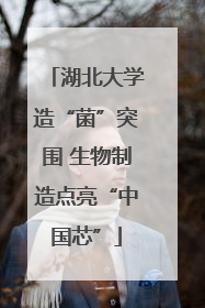 湖北大学造“菌”突围 生物制造点亮“中国芯”