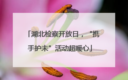湖北检察开放日，“携手护未”活动超暖心
