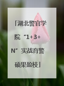 湖北警官学院“1+3+N”实战育警硕果盈枝