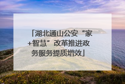 湖北通山公安“家+智慧”改革推进政务服务提质增效