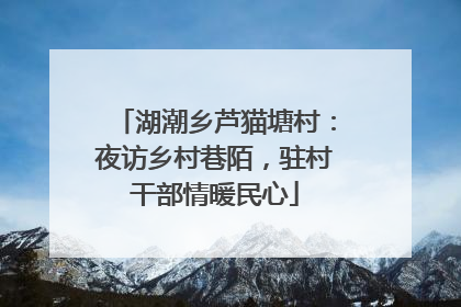湖潮乡芦猫塘村：夜访乡村巷陌，驻村干部情暖民心