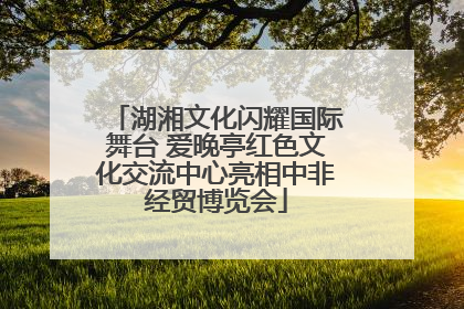 湖湘文化闪耀国际舞台 爱晚亭红色文化交流中心亮相中非经贸博览会