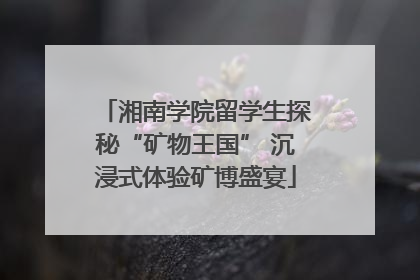 湘南学院留学生探秘“矿物王国” 沉浸式体验矿博盛宴