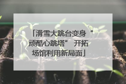 滑雪大跳台变身“顽酷心跳塔” 开拓场馆利用新局面