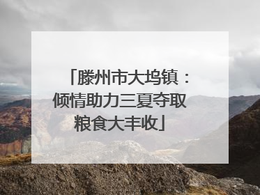 滕州市大坞镇：倾情助力三夏夺取粮食大丰收