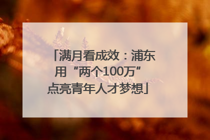 满月看成效：浦东用“两个100万”点亮青年人才梦想