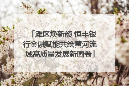滩区焕新颜 恒丰银行金融赋能共绘黄河流域高质量发展新画卷