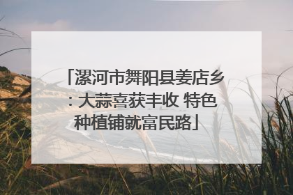 漯河市舞阳县姜店乡：大蒜喜获丰收 特色种植铺就富民路