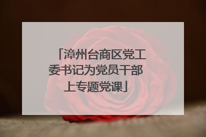 漳州台商区党工委书记为党员干部上专题党课