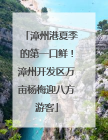漳州港夏季的第一口鲜！漳州开发区万亩杨梅迎八方游客