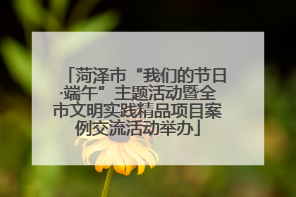 菏泽市“我们的节日·端午”主题活动暨全市文明实践精品项目案例交流活动举办