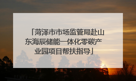 菏泽市市场监管局赴山东海辰储能一体化零碳产业园项目帮扶指导