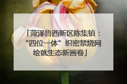 菏泽鲁西新区陈集镇：“四位一体”织密禁烧网 绘就生态新画卷