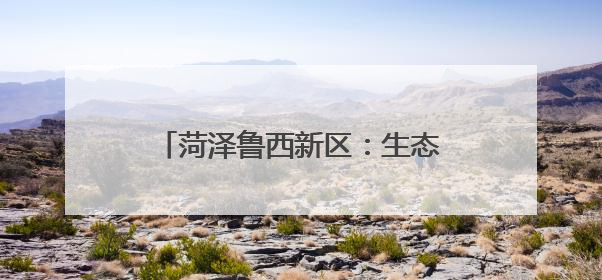 菏泽鲁西新区：生态治理赋能乡村“颜值”“产值”双提升