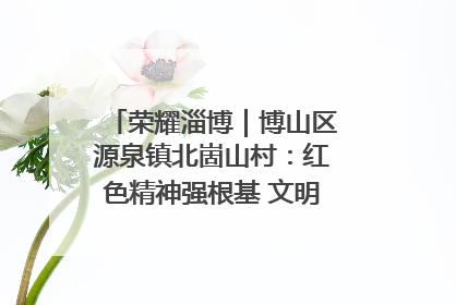 荣耀淄博｜博山区源泉镇北崮山村：红色精神强根基 文明新风润山乡