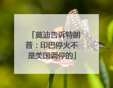 莫迪告诉特朗普：印巴停火不是美国调停的