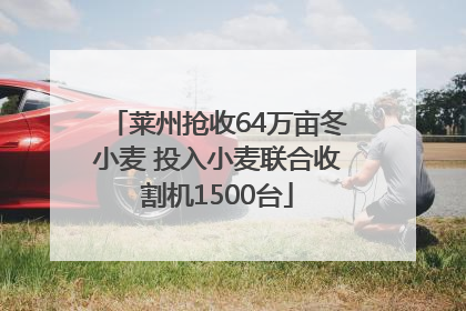 莱州抢收64万亩冬小麦 投入小麦联合收割机1500台
