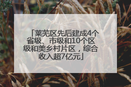 莱芜区先后建成4个省级、市级和10个区级和美乡村片区，综合收入超7亿元