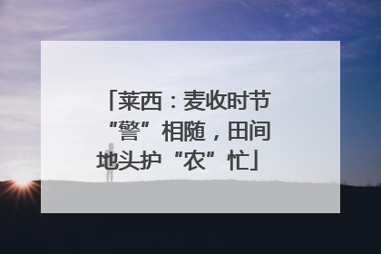 莱西：麦收时节“警”相随，田间地头护“农”忙