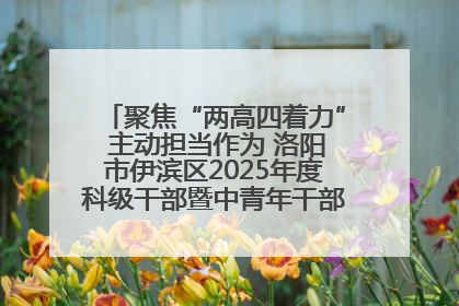 聚焦“两高四着力” 主动担当作为 洛阳市伊滨区2025年度科级干部暨中青年干部培训班开班