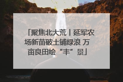 聚焦北大荒丨延军农场新苗破土铺绿浪 万亩良田绘“丰”景