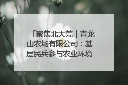 聚焦北大荒｜青龙山农场有限公司：基层民兵参与农业环境综合治理显效
