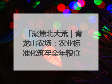 聚焦北大荒｜青龙山农场：农业标准化筑牢全年粮食安全根基