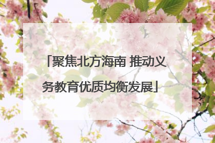 聚焦北方海南 推动义务教育优质均衡发展
