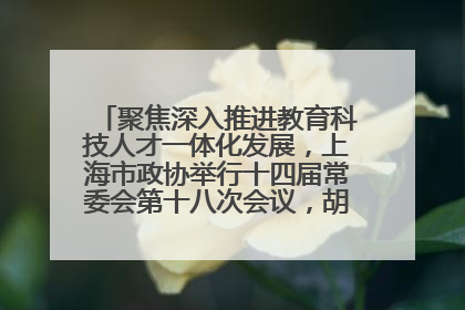 聚焦深入推进教育科技人才一体化发展，上海市政协举行十四届常委会第十八次会议，胡文容出席并讲话