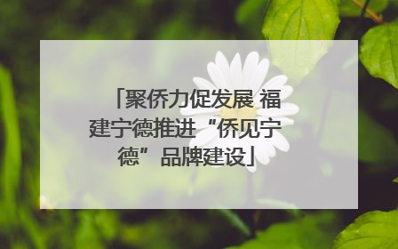 聚侨力促发展 福建宁德推进“侨见宁德”品牌建设