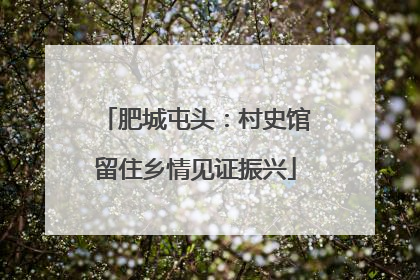 肥城屯头：村史馆留住乡情见证振兴