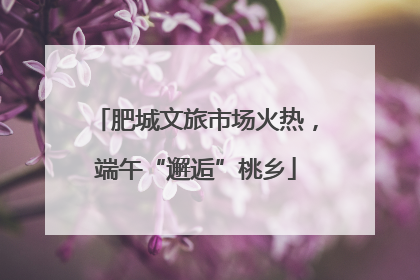 肥城文旅市场火热，端午“邂逅”桃乡