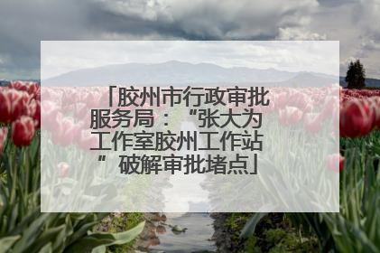 胶州市行政审批服务局：“张大为工作室胶州工作站”破解审批堵点