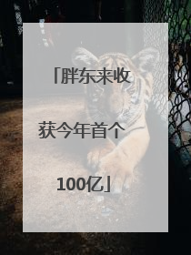 胖东来收获今年首个100亿