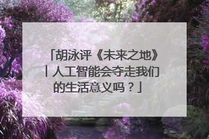 胡泳评《未来之地》︱人工智能会夺走我们的生活意义吗？