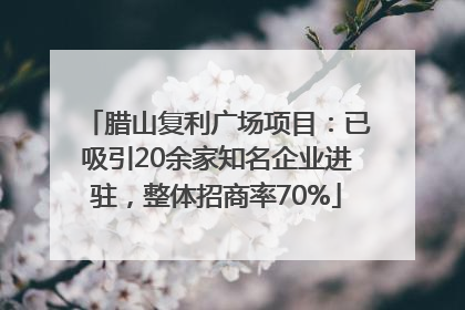 腊山复利广场项目：已吸引20余家知名企业进驻，整体招商率70%