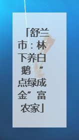 舒兰市：林下养白鹅 “点绿成金”富农家