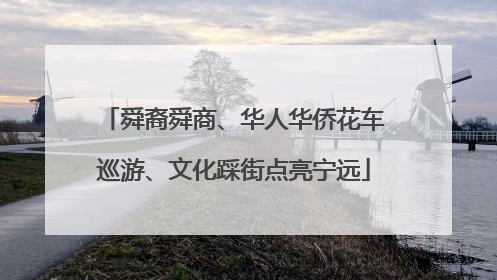 舜裔舜商、华人华侨花车巡游、文化踩街点亮宁远