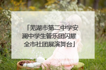 芜湖市第二中学安澜中学生管乐团闪耀全市社团展演舞台
