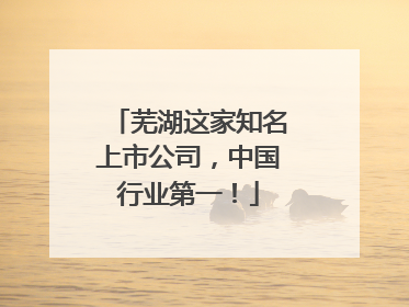 芜湖这家知名上市公司，中国行业第一！