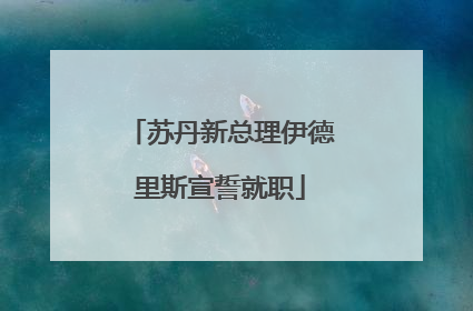 苏丹新总理伊德里斯宣誓就职