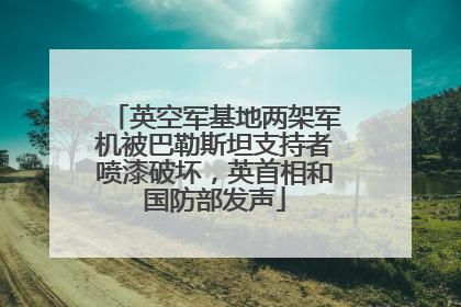 英空军基地两架军机被巴勒斯坦支持者喷漆破坏，英首相和国防部发声