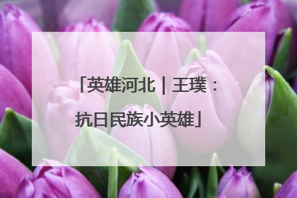 英雄河北｜王璞：抗日民族小英雄