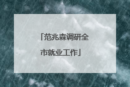 范兆森调研全市就业工作