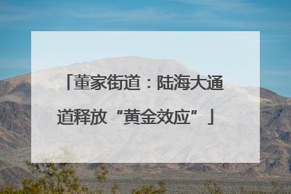 董家街道：陆海大通道释放“黄金效应”