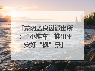 蒙阴孟良崮派出所：“小推车”推出平安好“枫”景