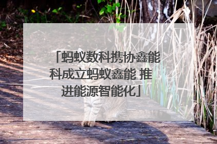 蚂蚁数科携协鑫能科成立蚂蚁鑫能 推进能源智能化