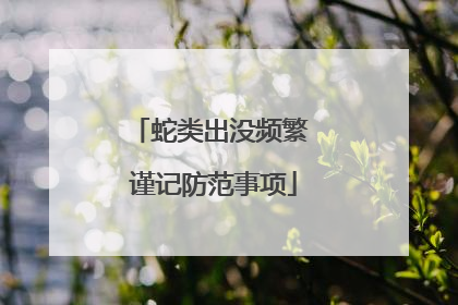蛇类出没频繁 谨记防范事项